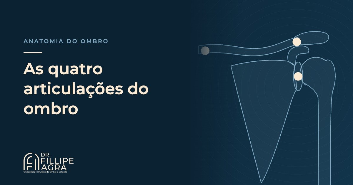 Anatomia do ombro: as quatro articulações que fazem o braço se mover